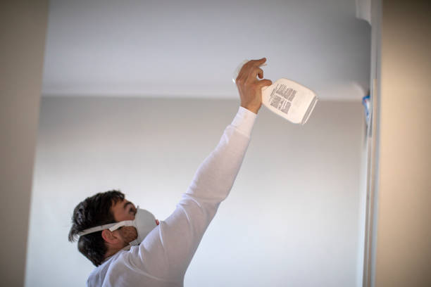 Best Emergency Mold Removal  in Clear Lake, IA