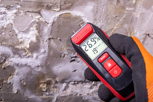 Best Professional Mold Removal  in Clear Lake, IA